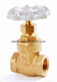 gate valve brass 2