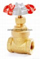 gate valve brass 4