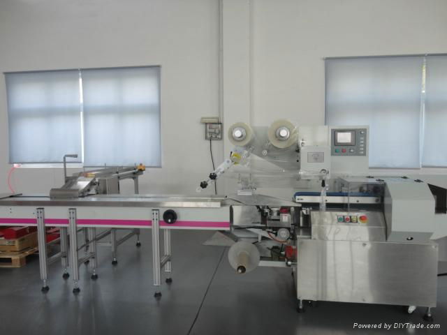 Pillow Type Automatic Packaging Machine 2