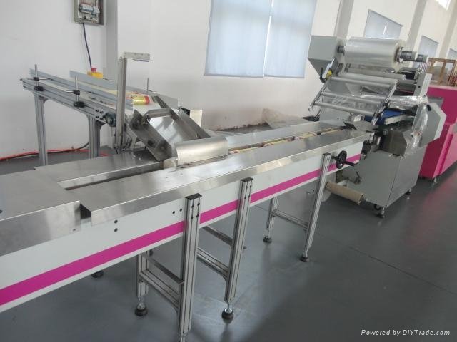Pillow Type Automatic Packaging Machine 3