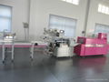 Food Automatic Packing Machine 1