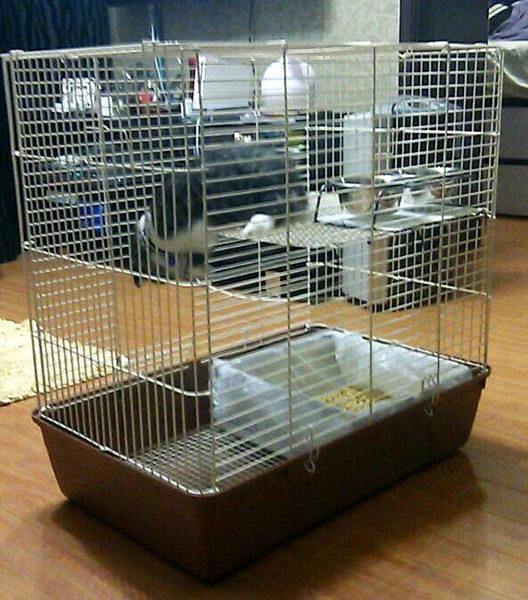 pet cage  5