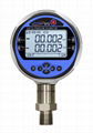 Digital Pressure Calibrators