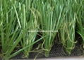 artificial grass for football or soccer