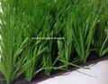 artificial grass for football or soccer