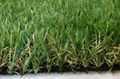 artificial grass for landscaping