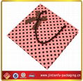 2013 high-grade rigid paper bag 3