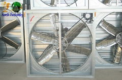 Poultry house ventilation ehaust fan