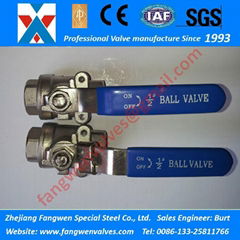 Split Body (2PC Body)1000PSI Threaded Ball Valves