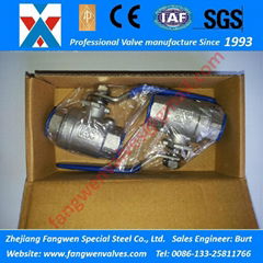 Tow-Piece (2PC) Economic Type SS304 SS316 BSP NPT Threaded Ball Valves