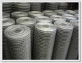 galvanized welded wire mesh  1