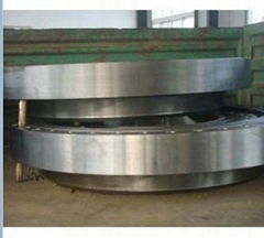 DIN2635 Pn40 Weld Neck Flange