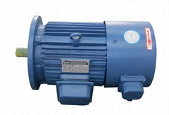 AC induction motor