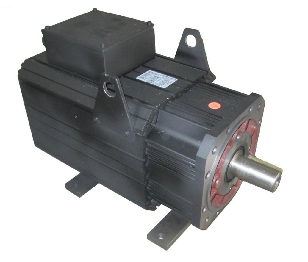 Servo motor