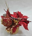 Poinsettia flower pot