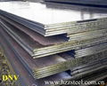 shipbuilding steel plate spec. DNV 1