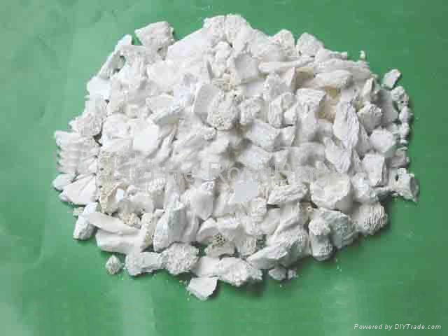 Calcined Bone Ash  