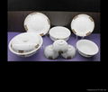 Bone China Dinner set with OEM Flower 4