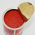 canned tomato paste  1