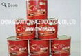 canned tomato paste  2