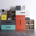 MDF storage Cabinet with Drawer