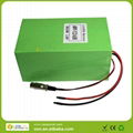 Lifepo4 48V12AH battery pack for 1000w motor