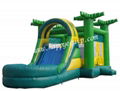 Cheap Mini Inflatable Water Slides for Family