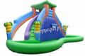 Cheap Mini Inflatable Water Slides for Family 2