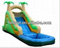 Cheap Mini Inflatable Water Slides for Family 4
