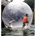 Hot Seller Water Ball Inflatable