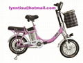 electric bicycle