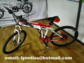 sports lithium battery electric bicycle 2