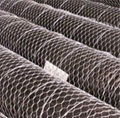 Hexagonal wire mesh 1