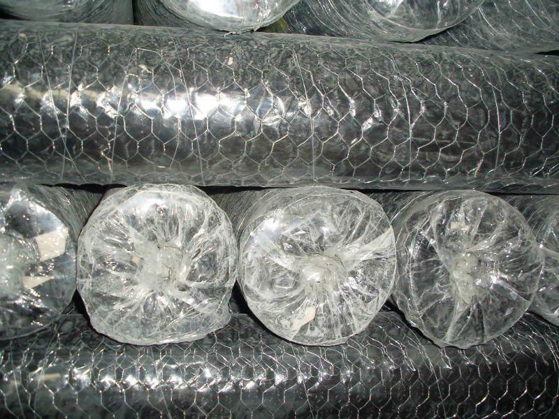 Hexagonal wire mesh 2