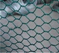 Hexagonal wire mesh 4