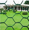 PVC Coated Chicken Wire