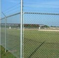 Galvanized Chain Link Fence