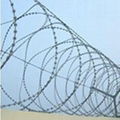 Concertina Razor Barbed Wire 1