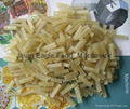 Italy pasta macaroni extruder machinery  3