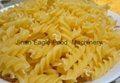 Italy pasta macaroni extruder machinery  4