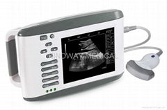 CE Approved Handheld Ultrasound Scanner (RW-802)