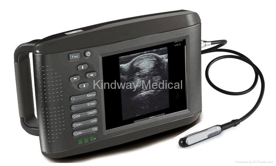 CE Approved Handheld Veterinary Ultrasound Scanner (RW-802V)