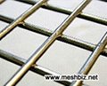China Welded Wire Mesh Panels 3