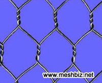 China Hexagonal Wire Mesh Manufacturers 2