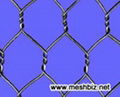 China Hexagonal Wire Mesh Manufacturers 2