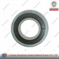 Graphite  Spiral Wound Gasket