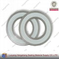 PTFE  Spiral Wound Gasket