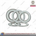 Spiral Wound Gasket with PTFE