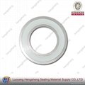 Spiral Wound Gasket with PTFE
