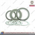 Graphite  and PTFE Spiral Wound Gasket